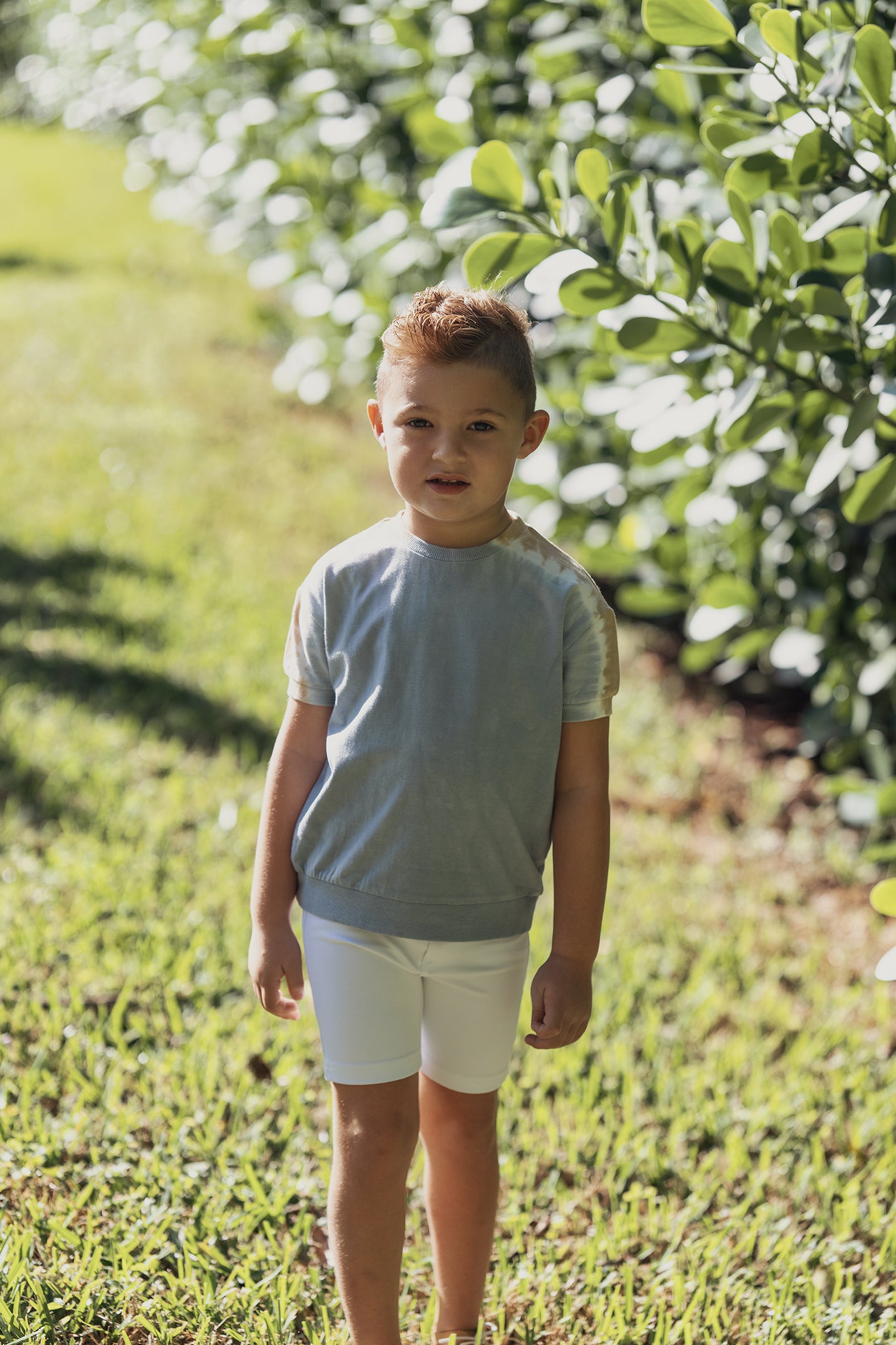 Ponte Short Pant in by Mocha Noir