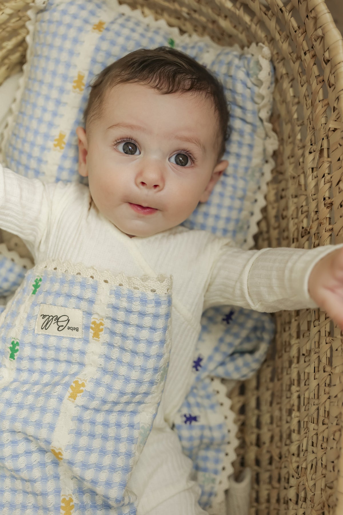 Knit Blanket Pillow Set in by Bebe Bella
