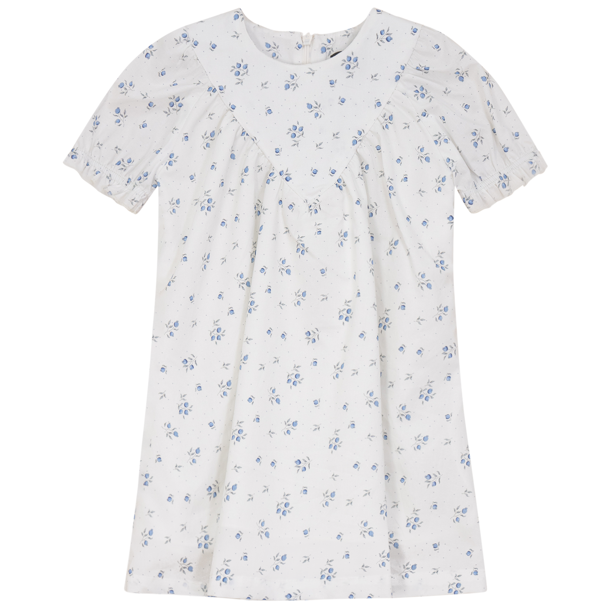 Blueberry Printed Dress in White Blue by Space Grey