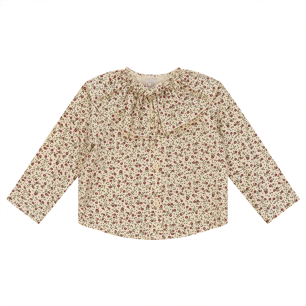 Floral Top with Insert Collar in Burgundy Floral by Clô