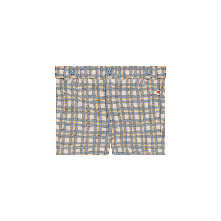 Plaid Woven Short Blue Boys Shorts by {{ product_vemdor}}