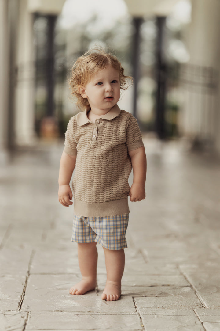 Plaid Woven Short Blue Boys Shorts by {{ product_vemdor}}