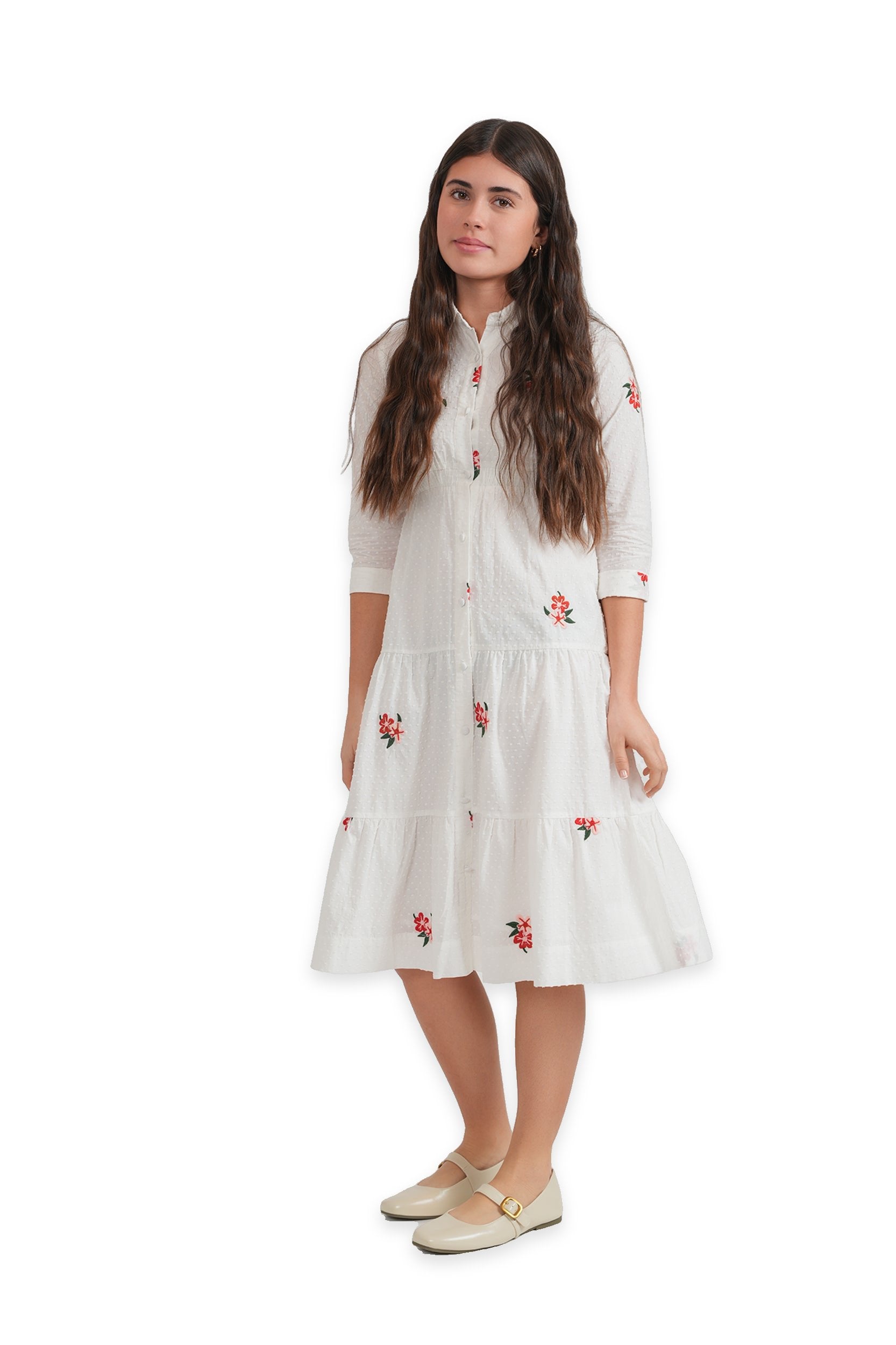 Dobi Embroidered Dress