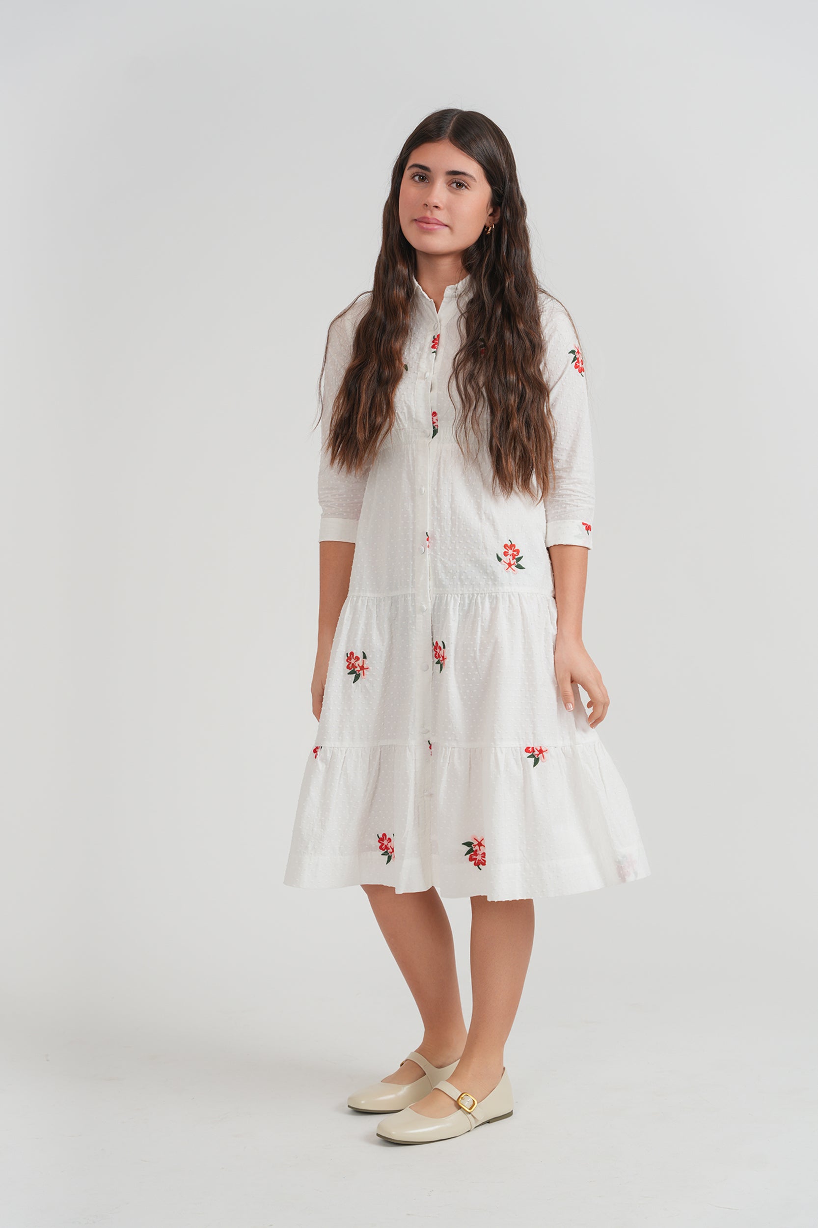 Dobi Embroidered Dress in by Imagine