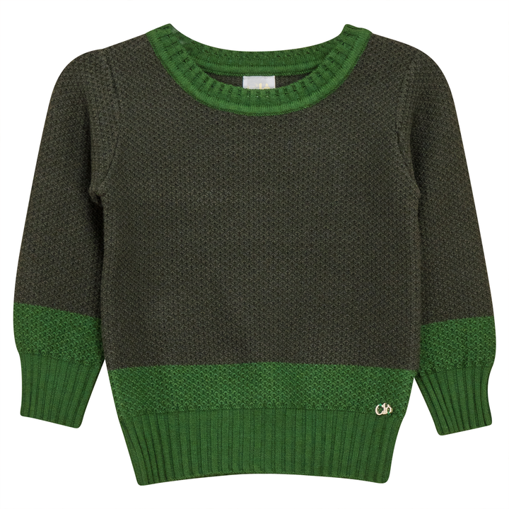 2 Tone Textured Knit Sweater Olive Green Boys Pullover by {{ product_vemdor}}