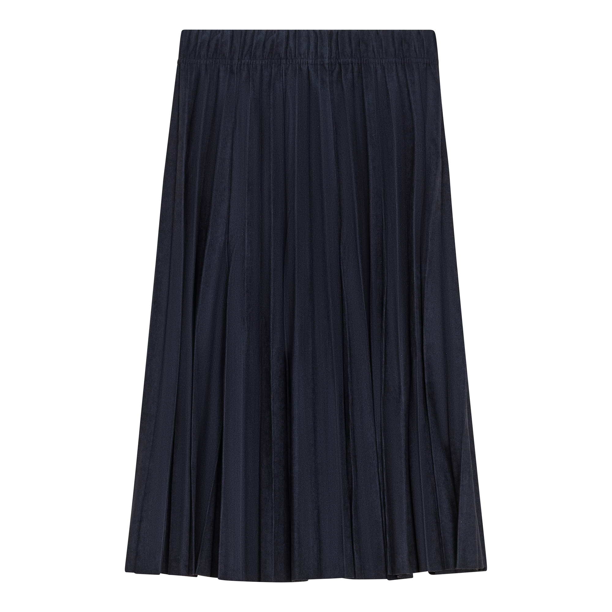 Crinkle Woven Pleated Skirt in Dark Navy by Aspect