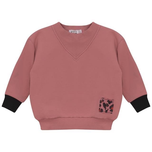 Sweatshirt with Rib Fennel Neck in Rose by FYI