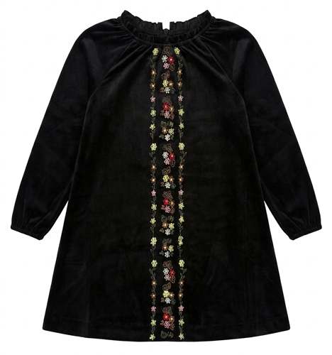 Velvet Floral Embroidery Dress