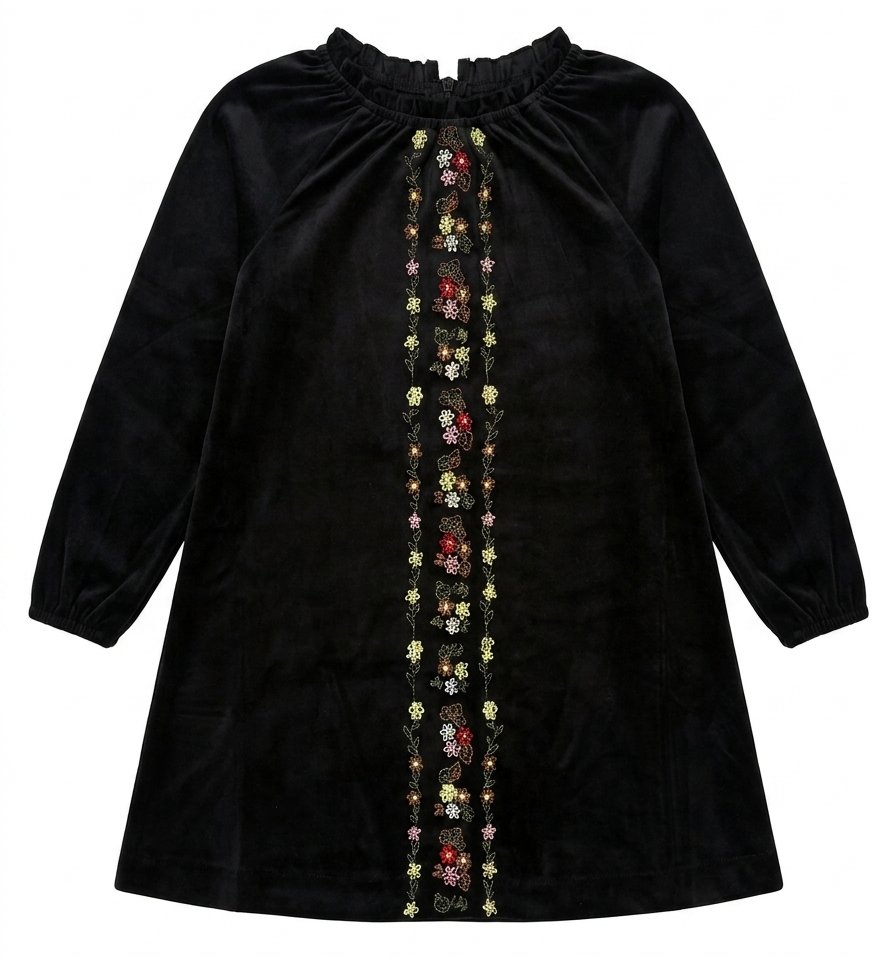 Velvet Floral Embroidery Dress