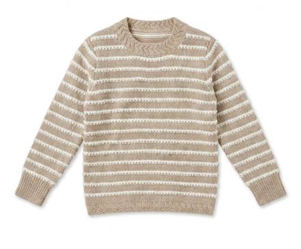 Special Stripe Knit Sweater