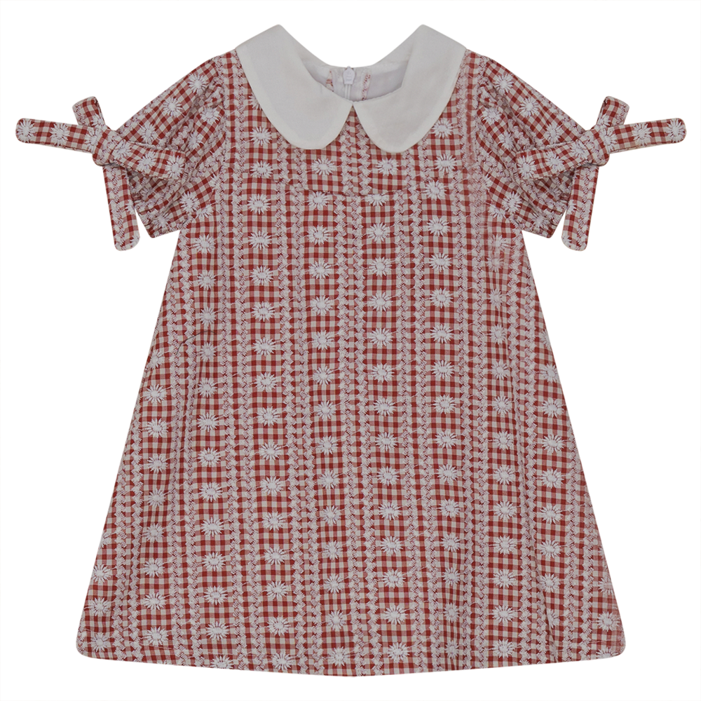 Embroided Gingham Dress in Rust Print by Abigail