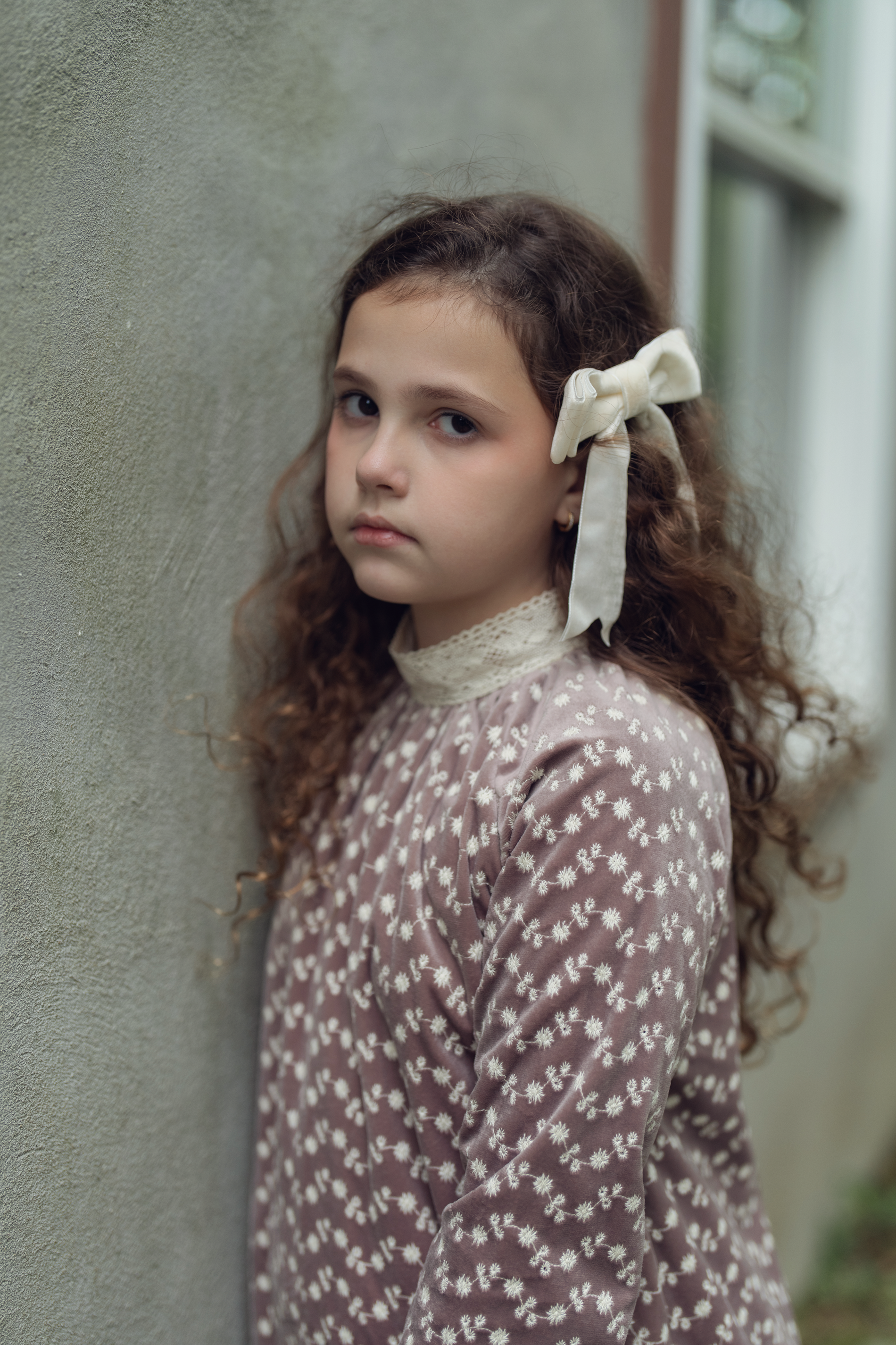 Embroidered Velvet Dress in by Space Grey