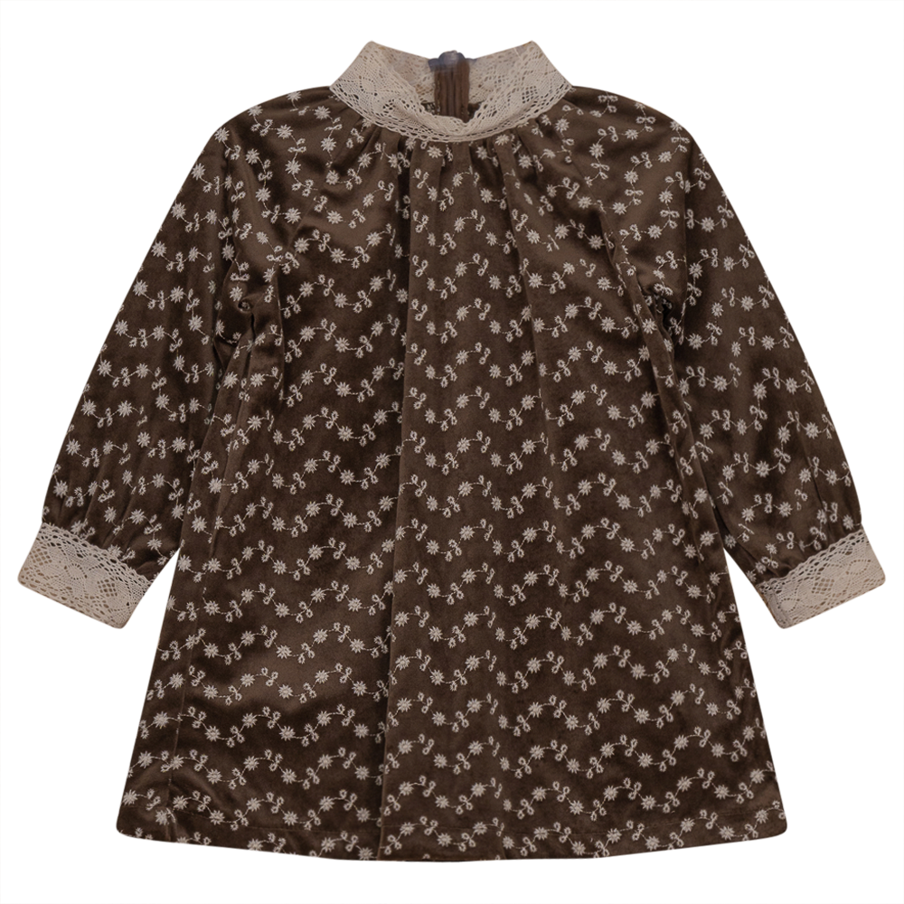Embroidered Velvet Dress in Brown Print by Space Grey